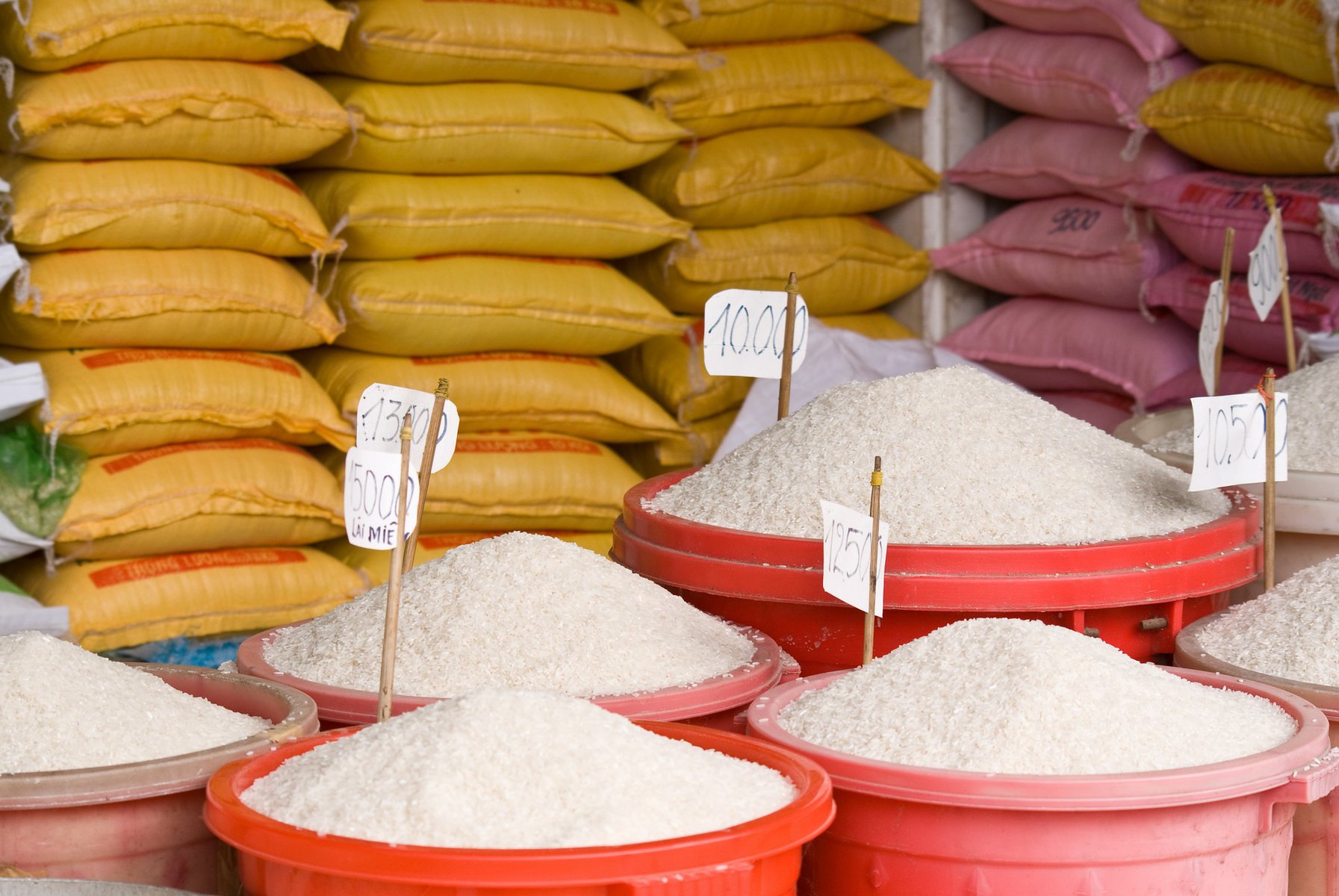 Different types of rice for sale in buckets.