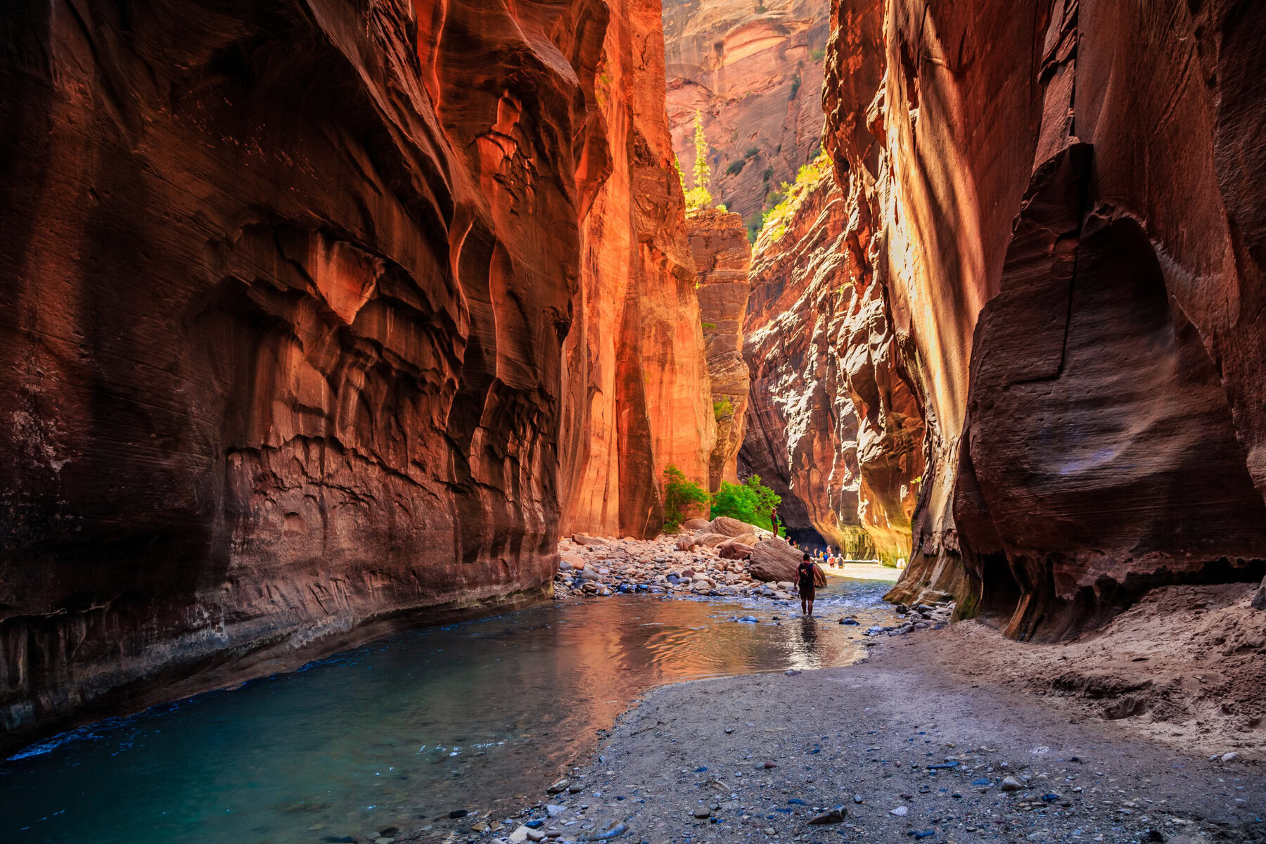 The Narrows in Zion Canyon.