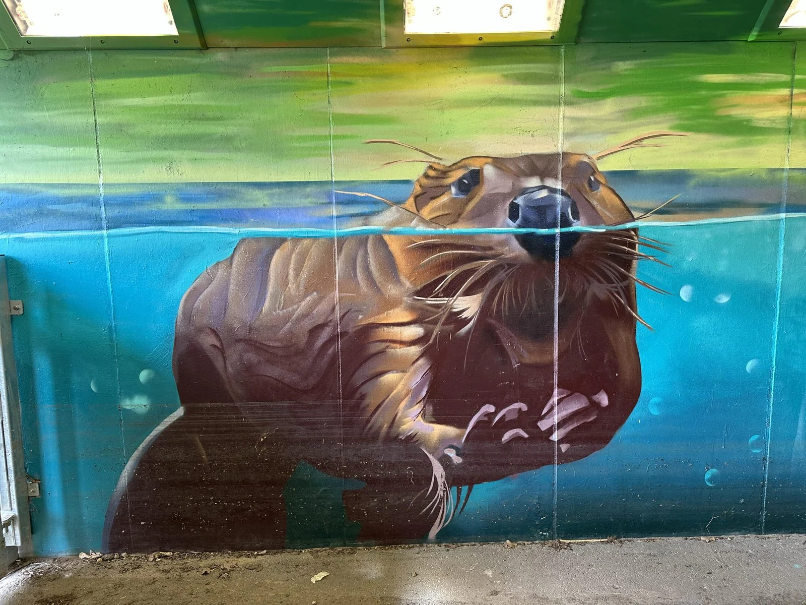 A beaver mural in Paradise Fields.