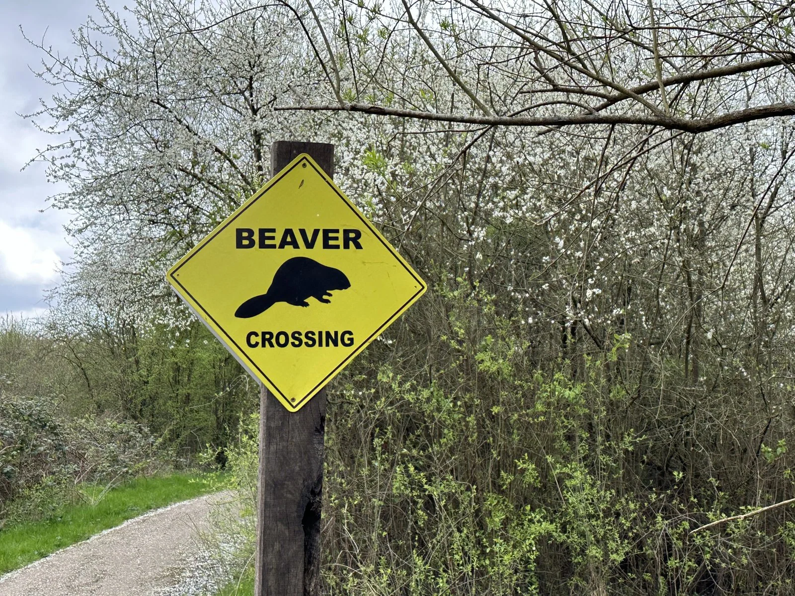 A sign in Paradise Fields says "Beaver Crossing" with an image of a beaver.
