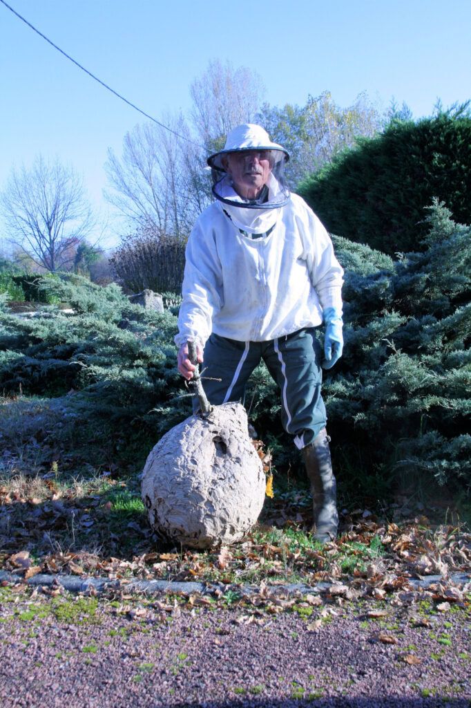 How Electric Harps Are Protecting Honey Bees