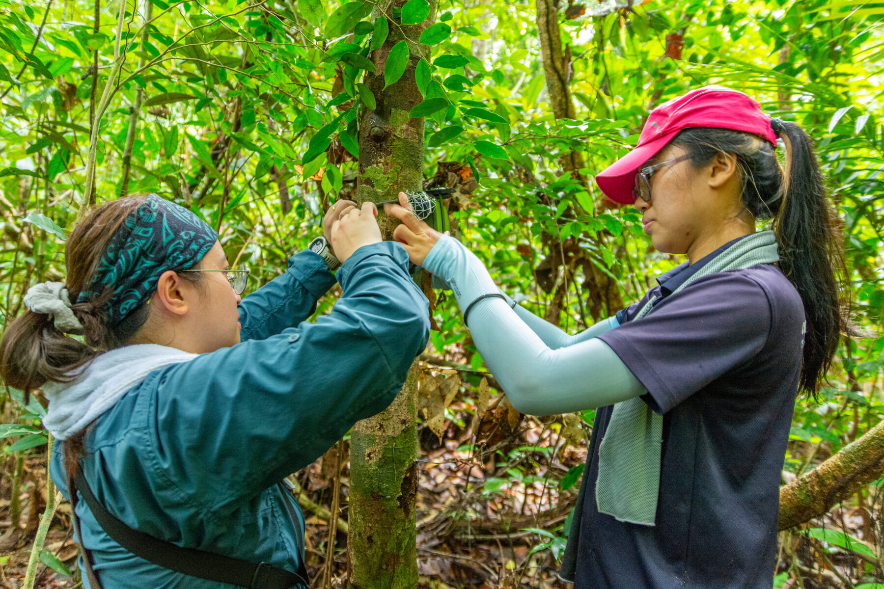 Ornithologist Dr. Loo Yen Yi and conservation biologist Lee Mei Yi at work.