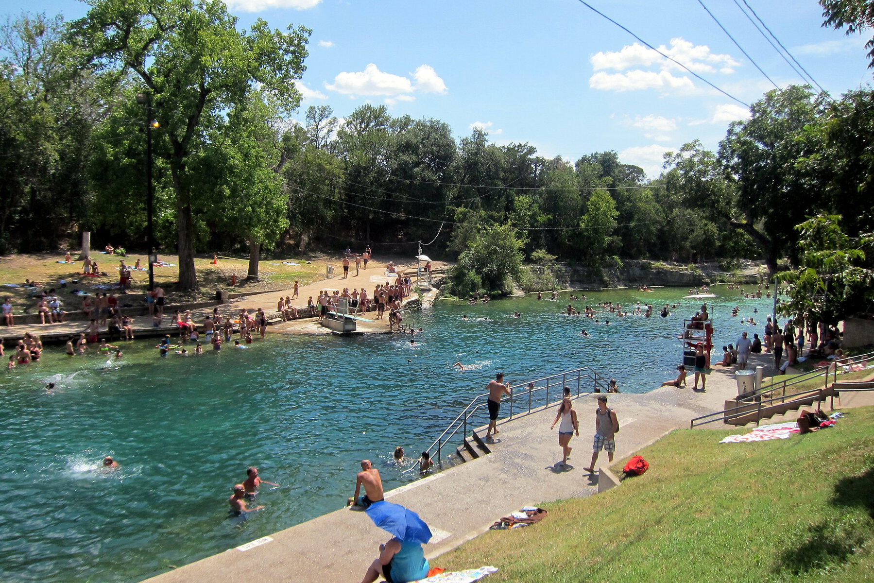 Barton Springs pool with swimmers.