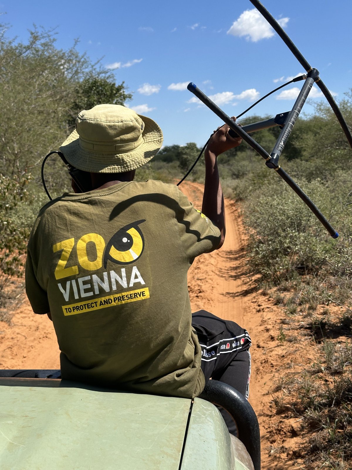 Rangers on their search for pangolins. 