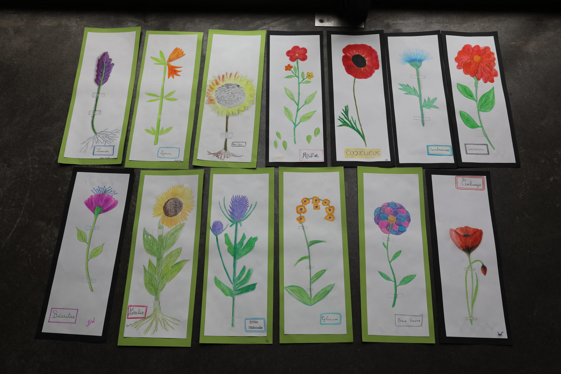 An overhead view of colorful illustrations of flowers by participants, as well as the author’s own.