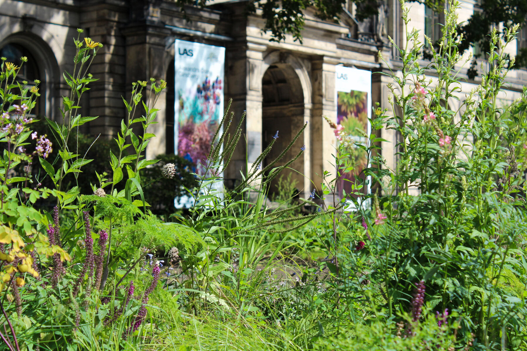 Installation view of Pollinator Pathmaker LAS Edition, 2023.