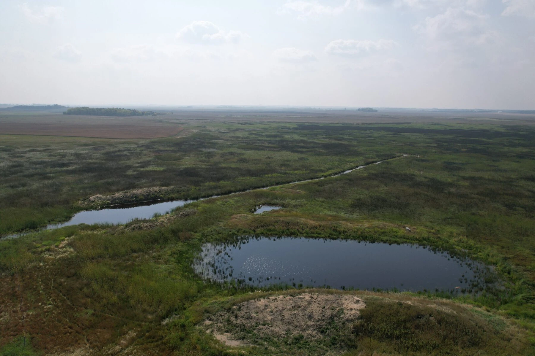 The 260-acre Hannotte wetland is an oasis surrounded by wheat fields. 