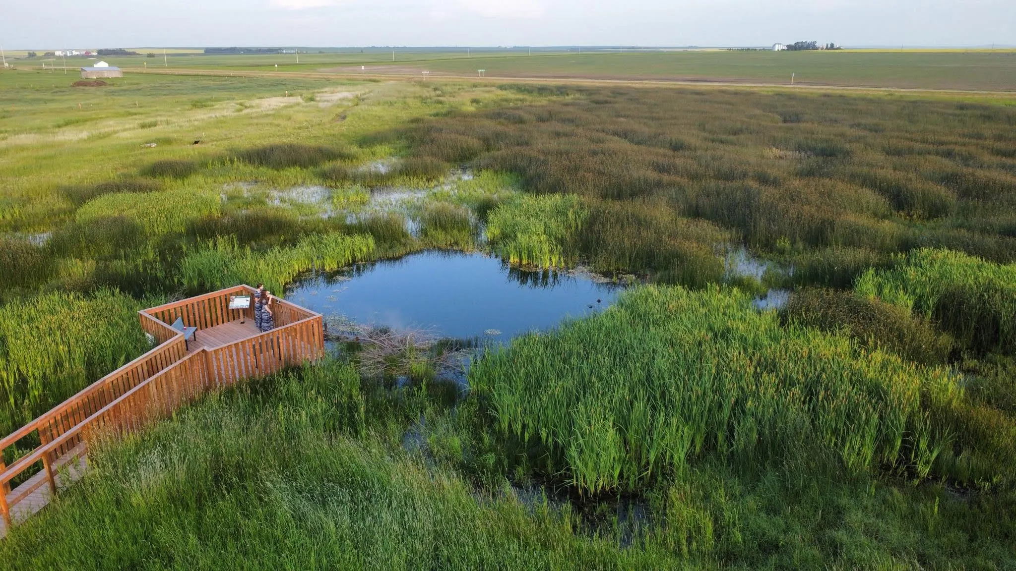 The restored Riverhurst wetland in Saskatchewan. 