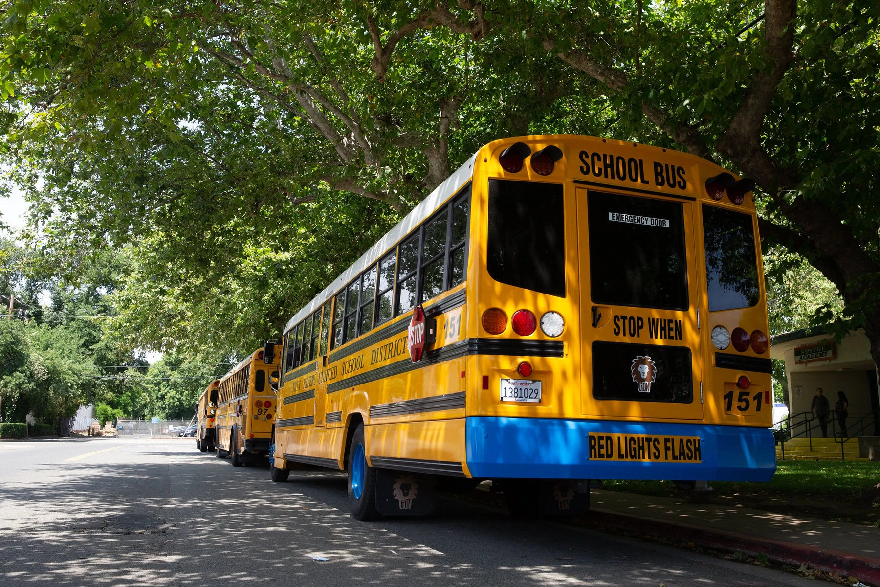 A row of buses waits in the shade in front of a school.