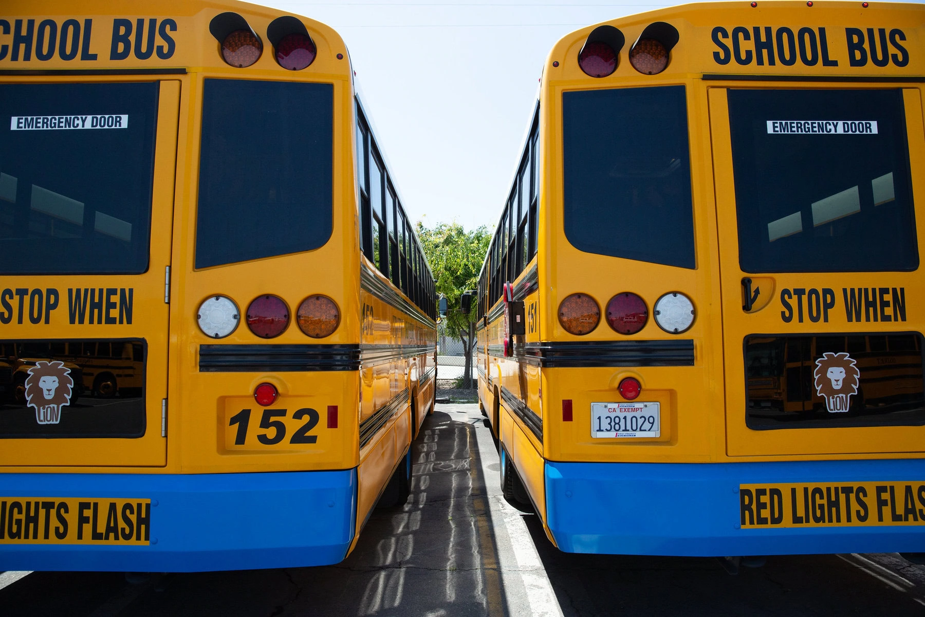 Two electric school buses are parked next to each other in a parking lot.