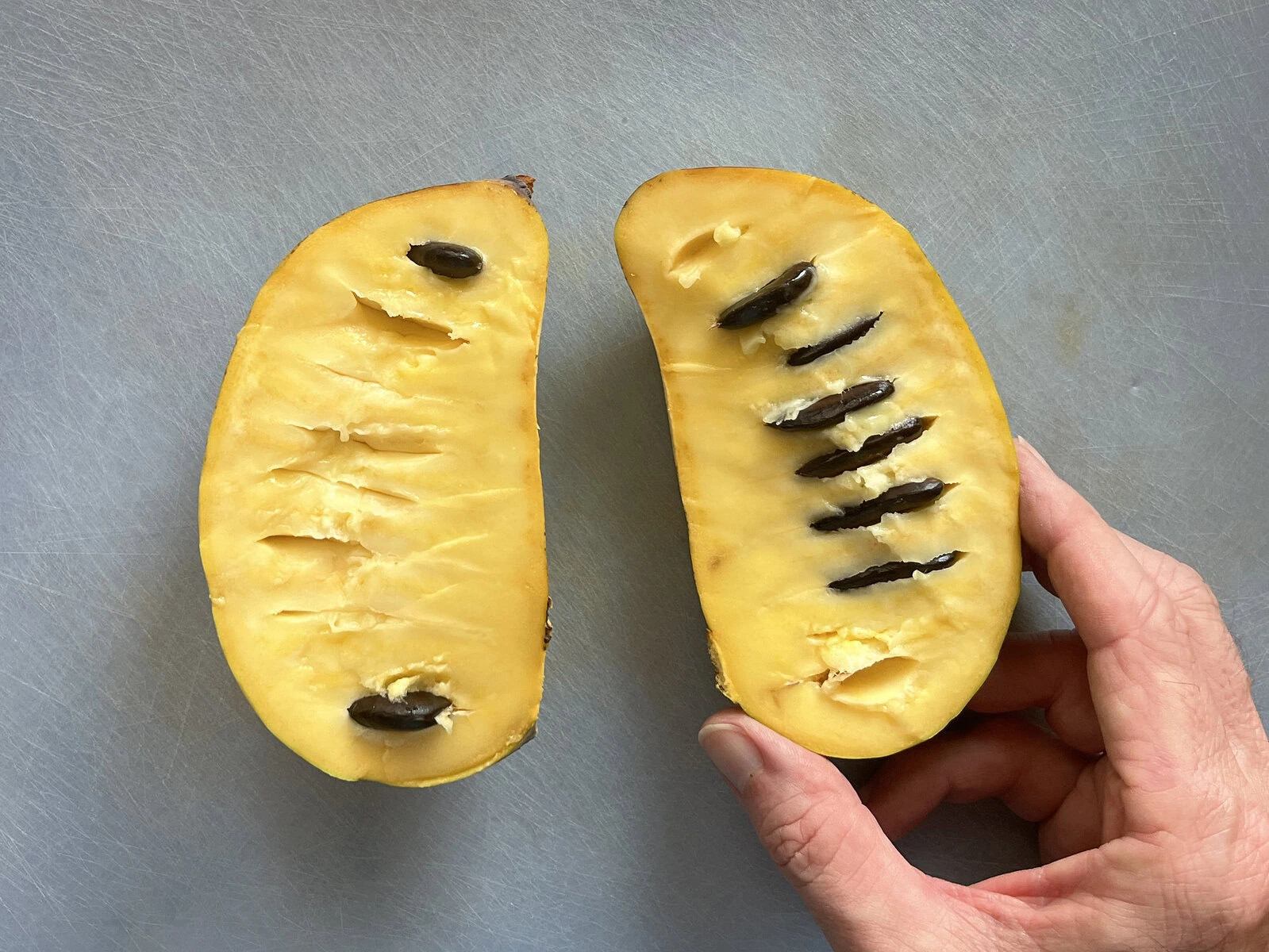 A bright yellow pawpaw, cut in half, with a hand holding one half.