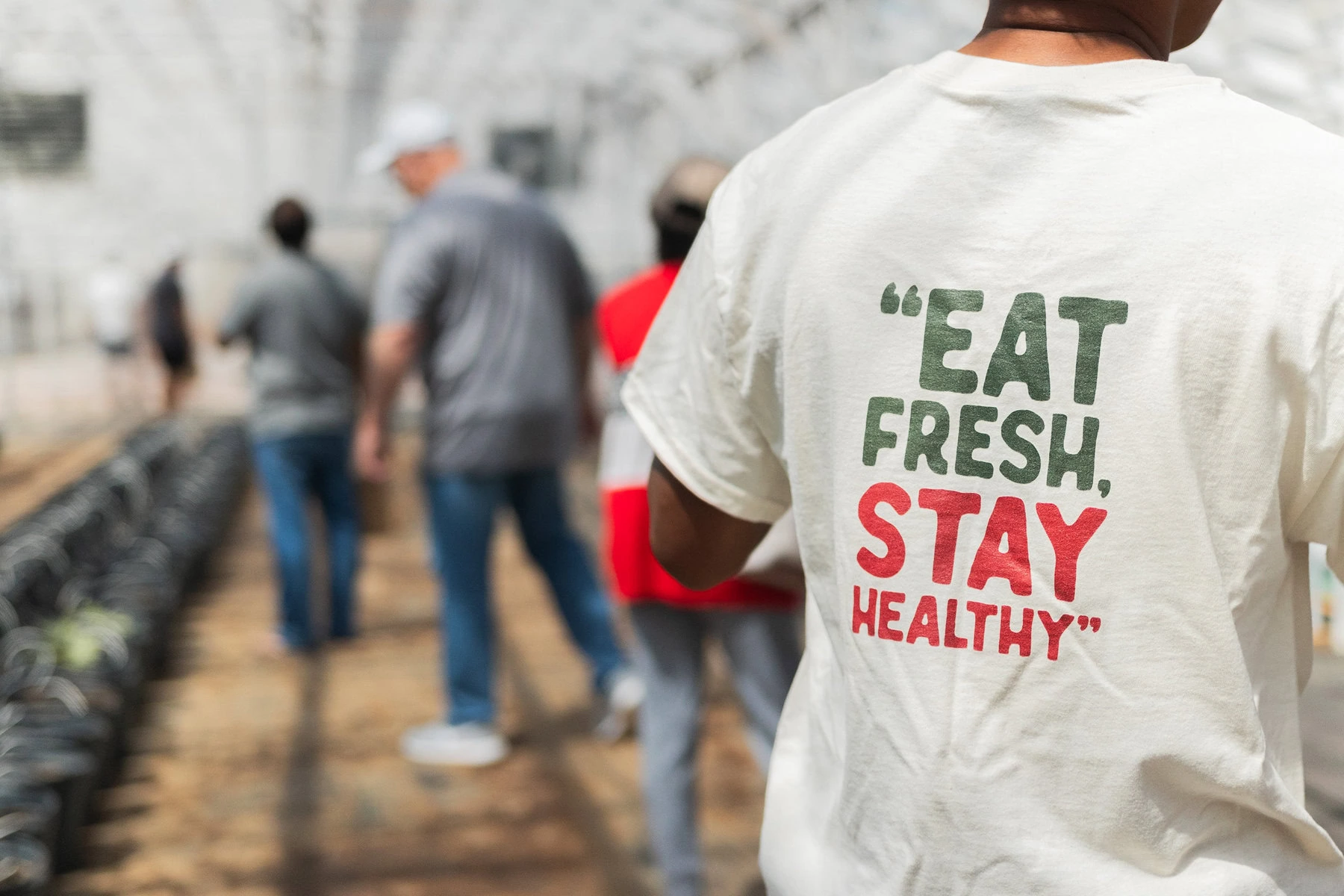 People walk among rows of plants in a former chicken house. In the foreground is the back of a person wearing a white t-shirt that says "EAT FRESH. STAY HEALTHY" on it.