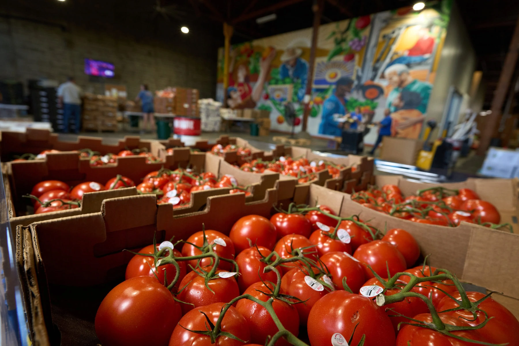 Boxes of tomatoes at Food Forward's "Pit Stop" warehouse.