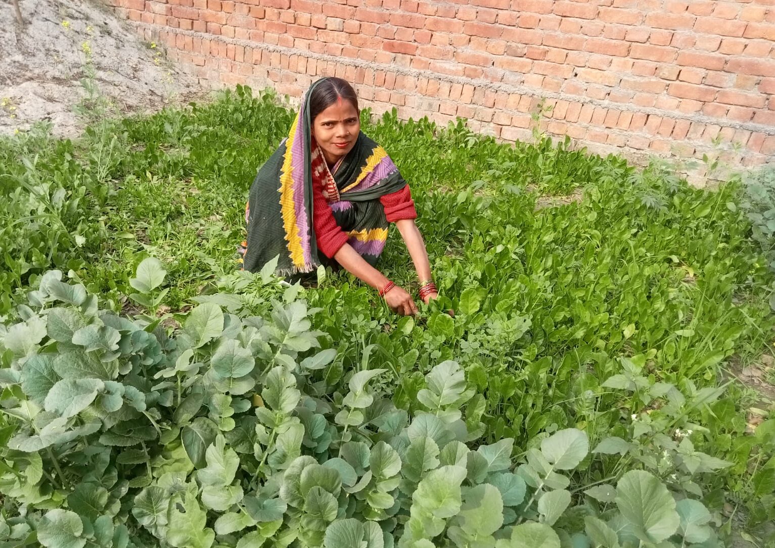 Anita Devi with her crop of green vegetables.