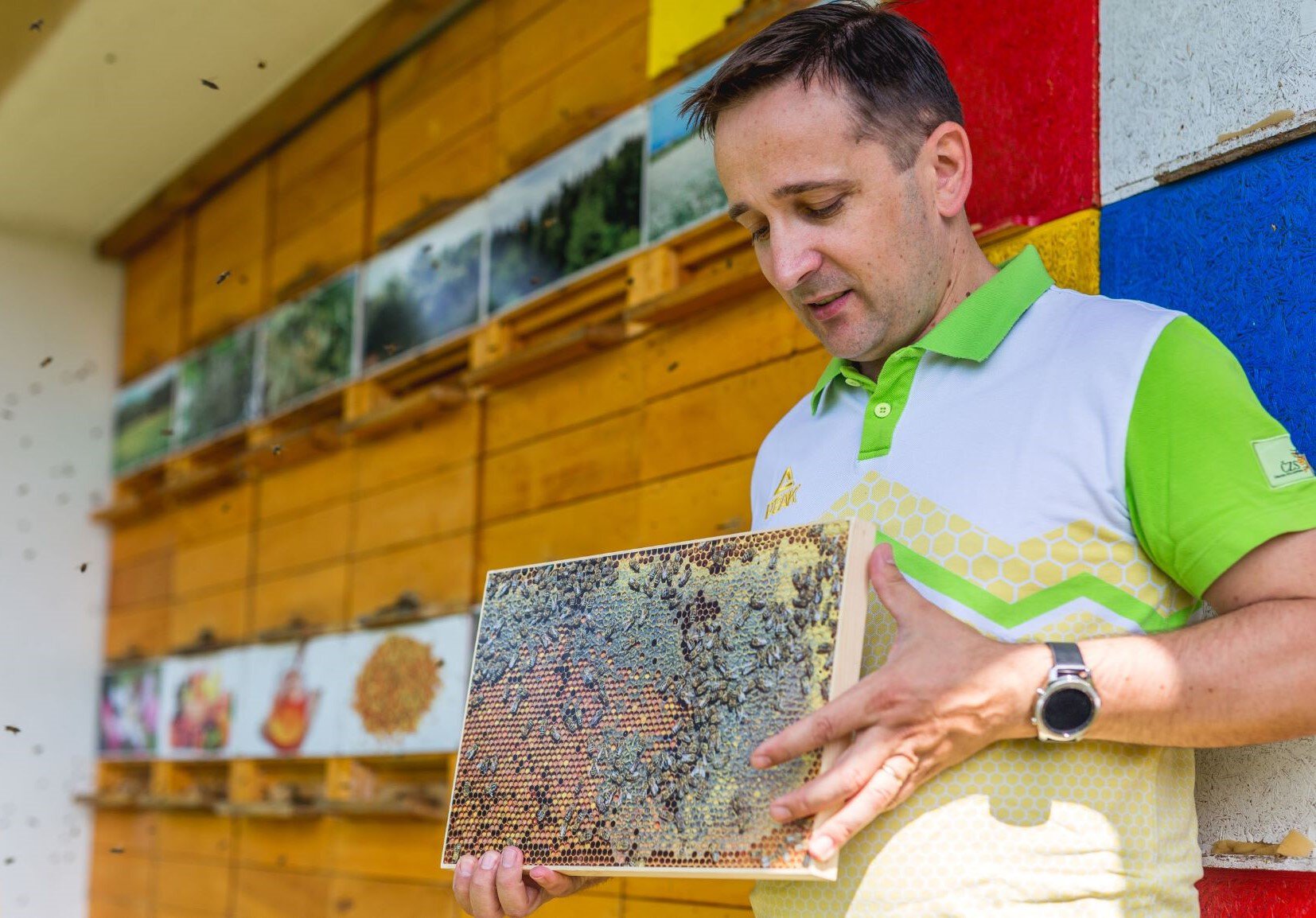 Peter Kozmus holds up a honeycomb.