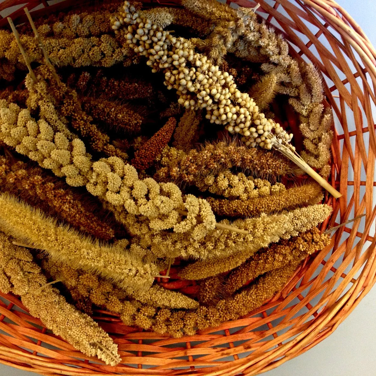 A basket of millet.