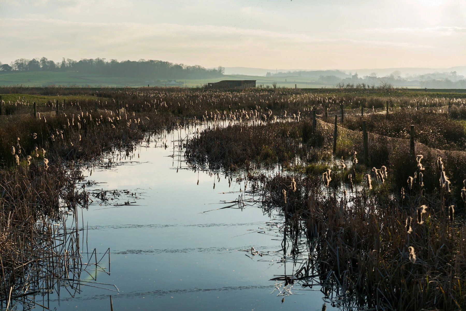 Steart Marshes, a protected salt marsh on the Somerset coast. 