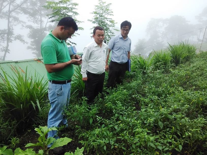 Mevedir officials inspecting a chilly crop. 