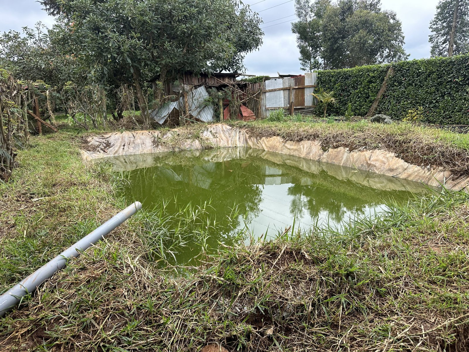 A rainwater collection pool.