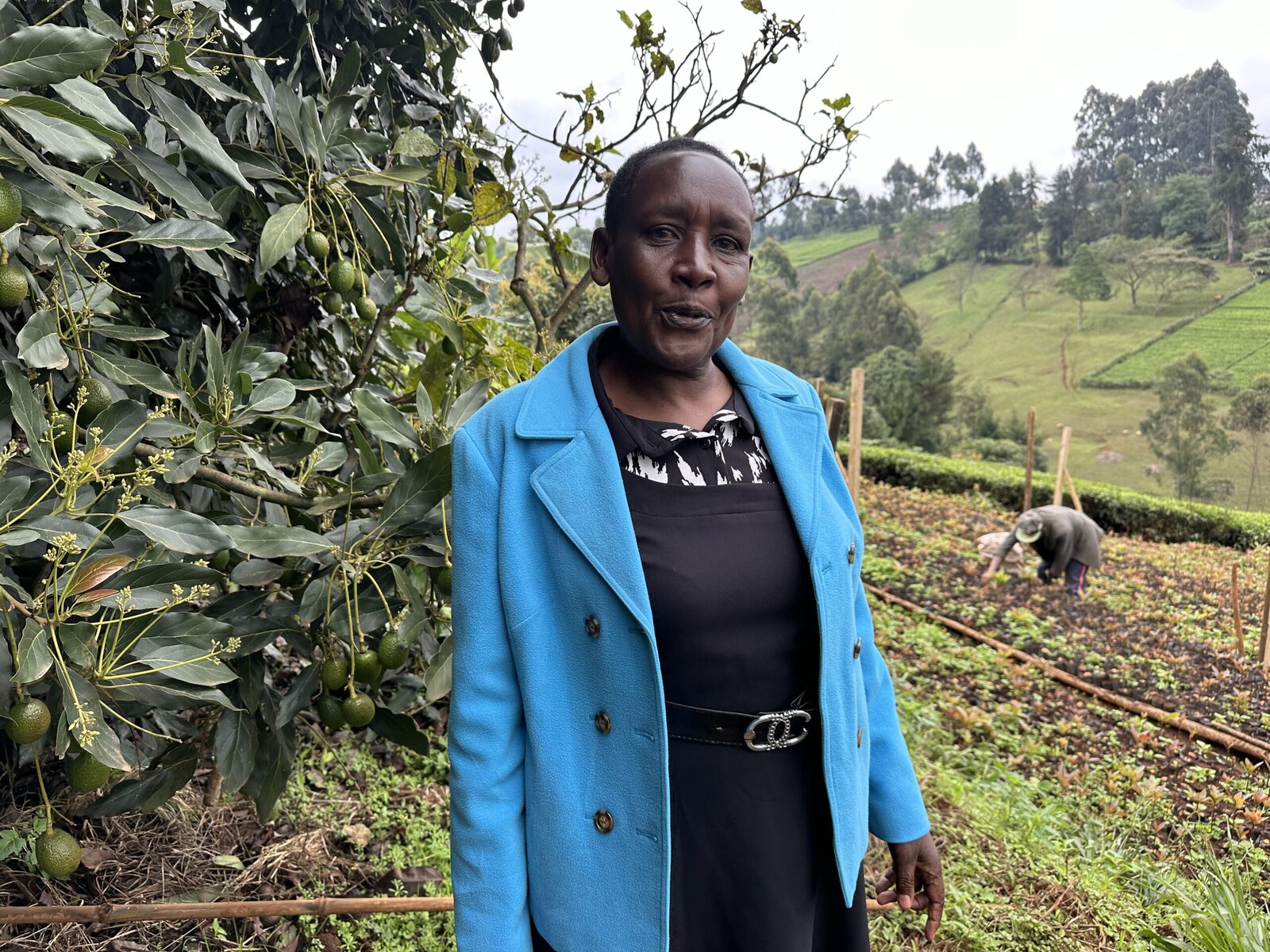 Esther Wandia Kiguru stands in front of her fields.