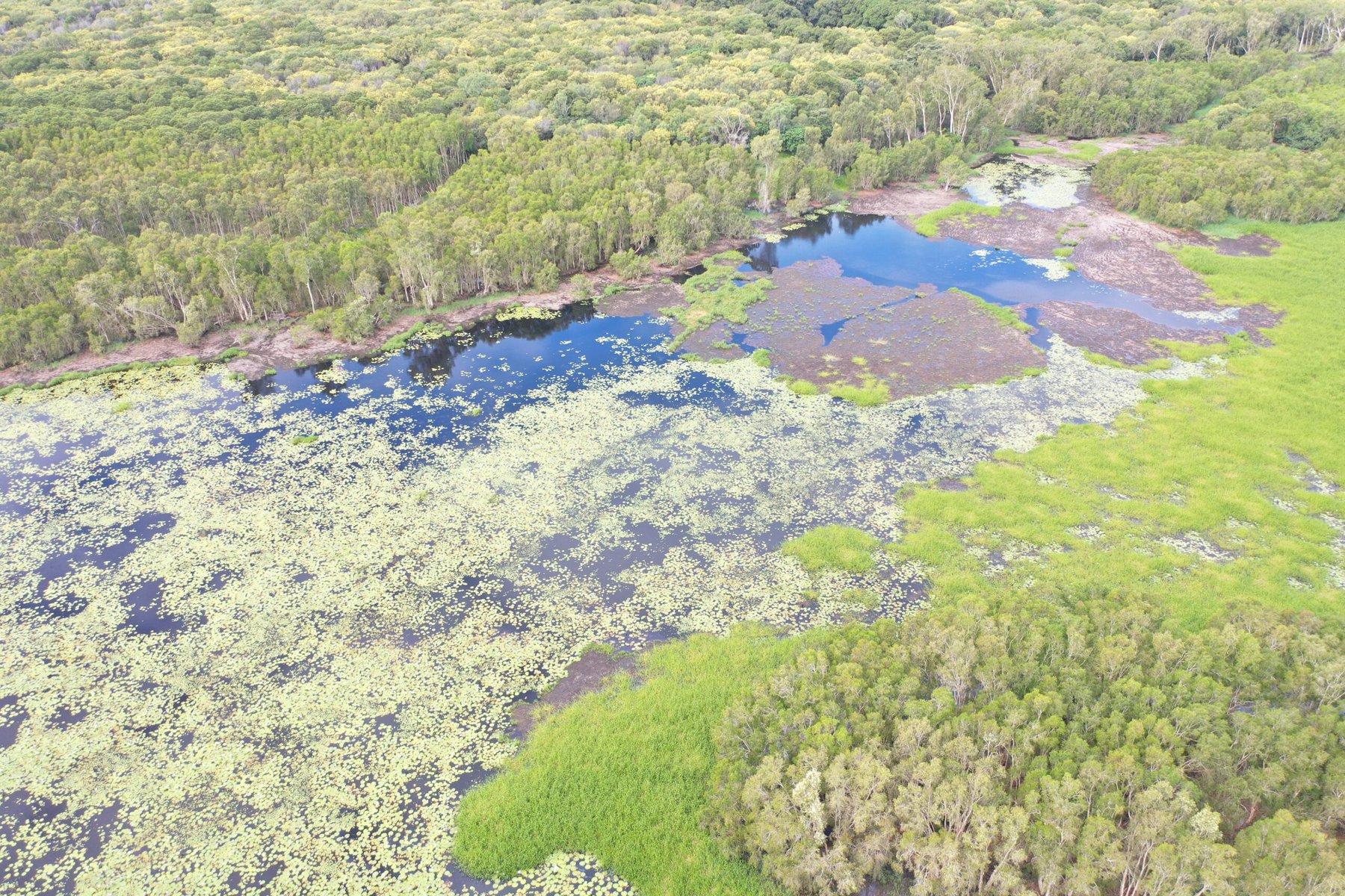 An aerial view of the restored wetlands.