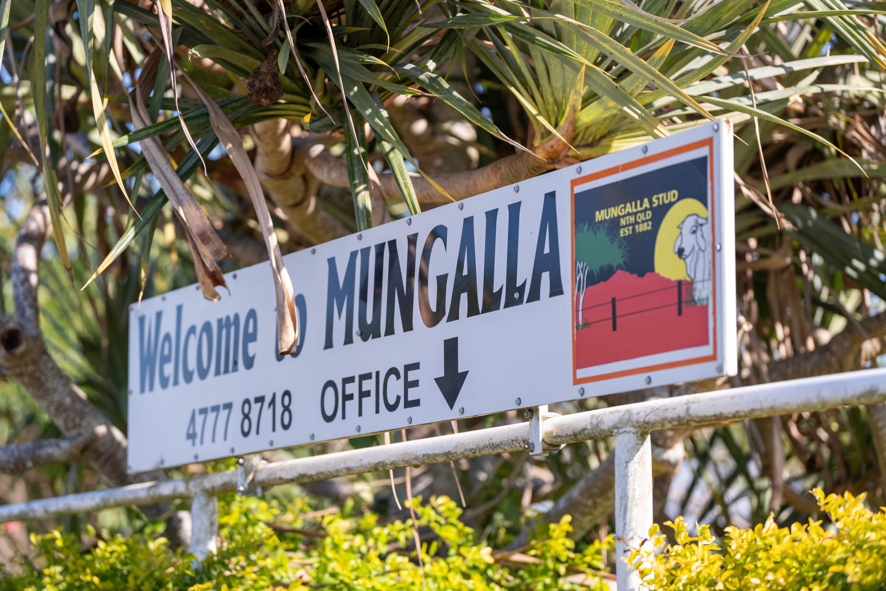 A sign reads "Welcome to Mungalla with palm fronts hanging over it.