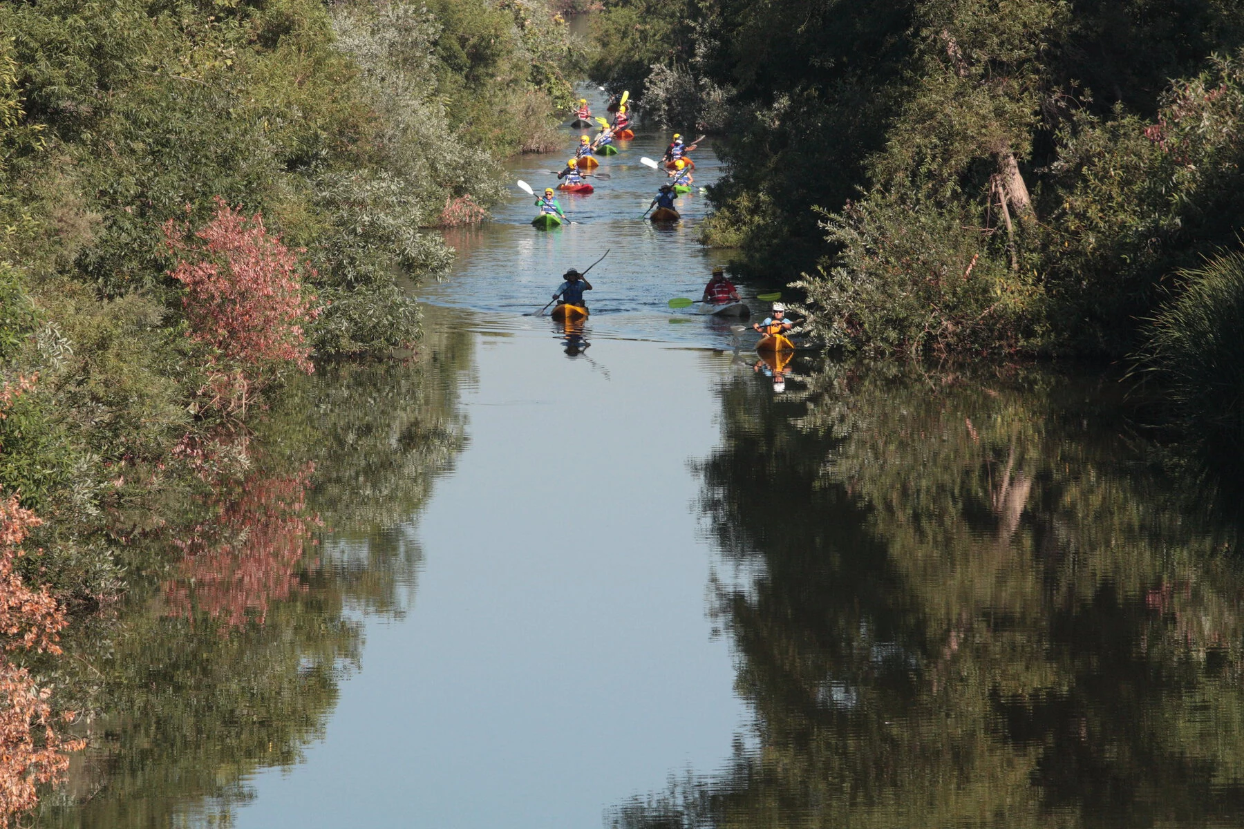 Kayakers on a natural stretch of the LA River.