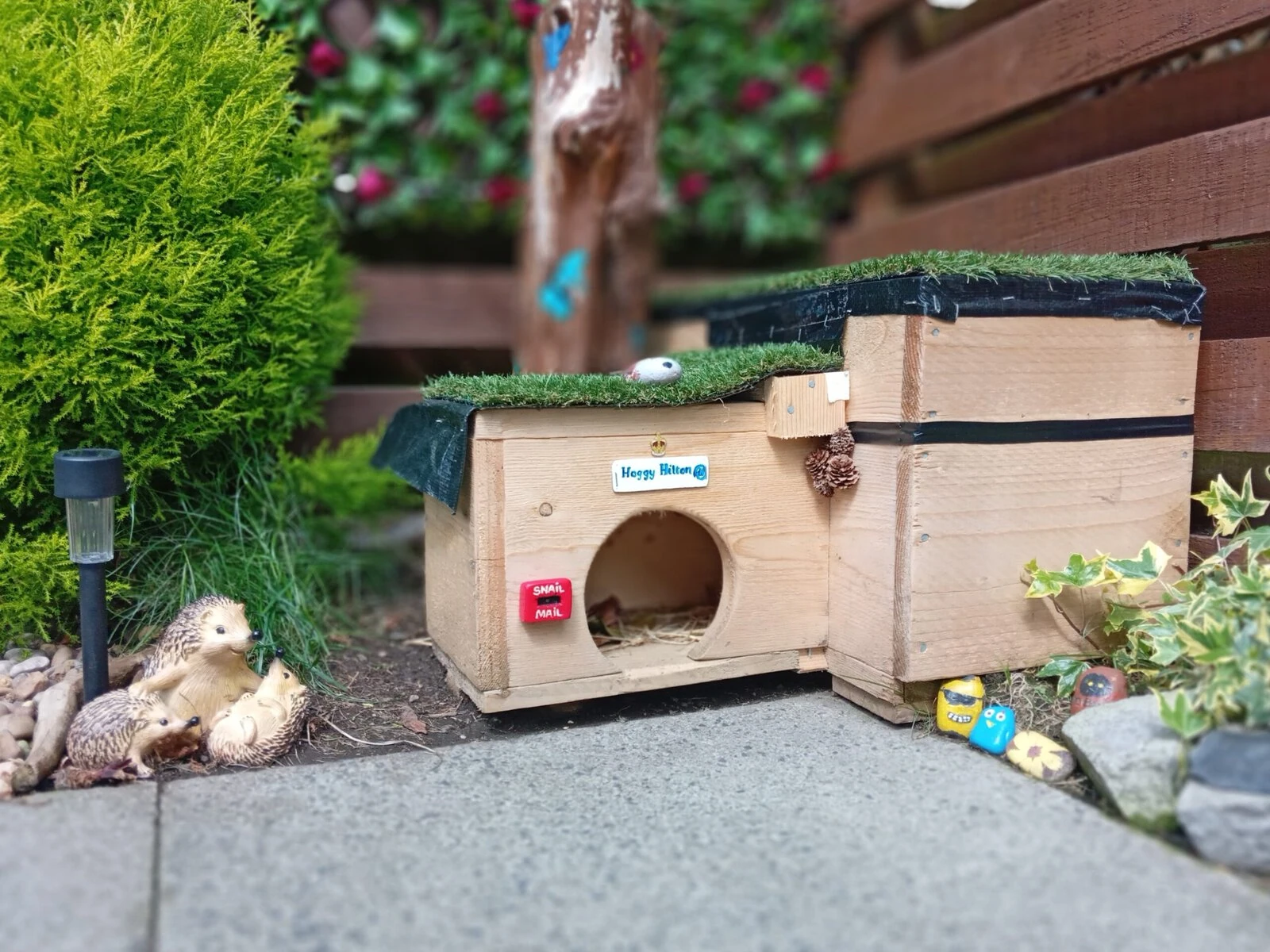 A hedgehog house. 