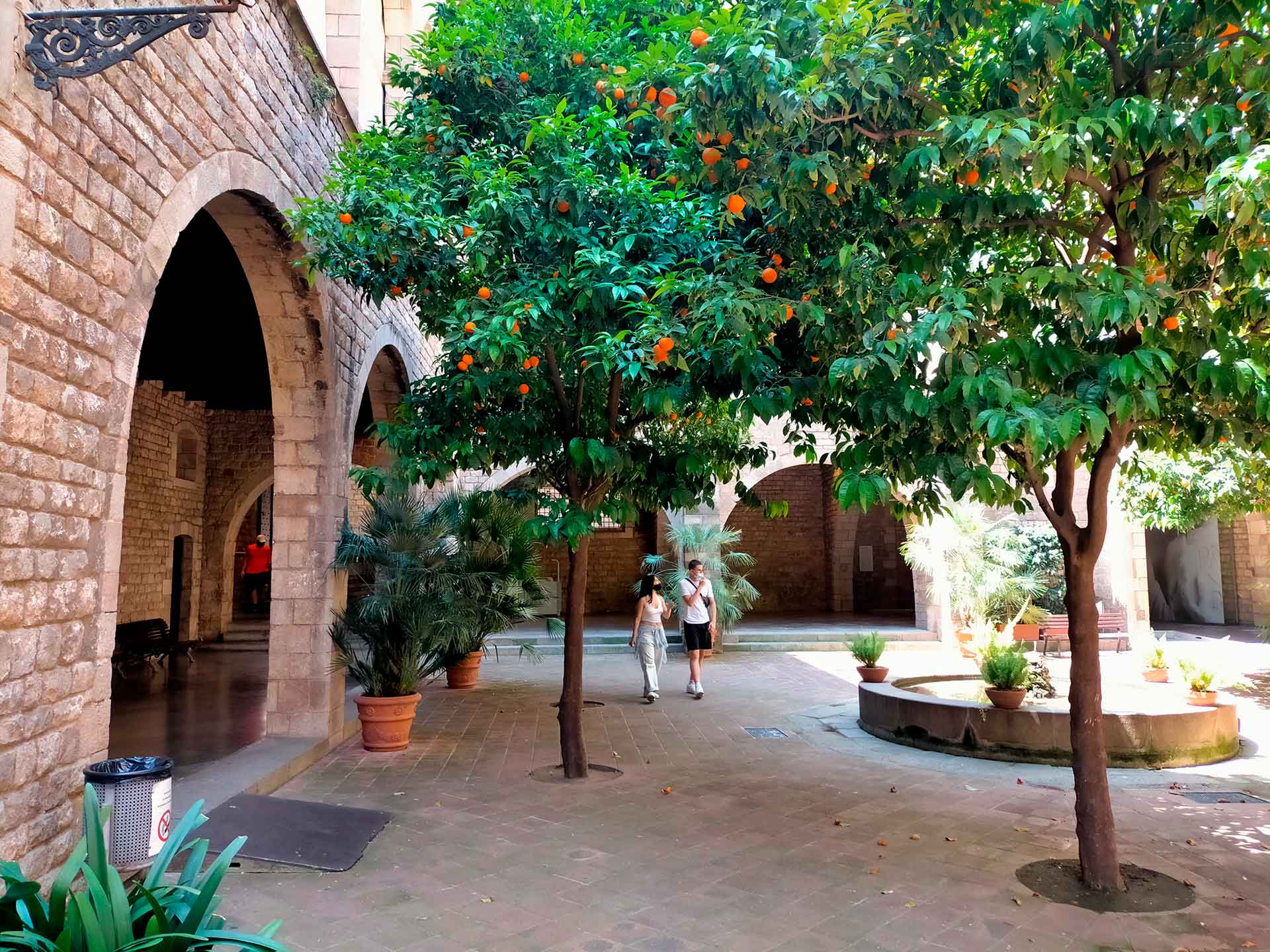 The Museu Frederic Marès exterior, with orange trees and people walking.