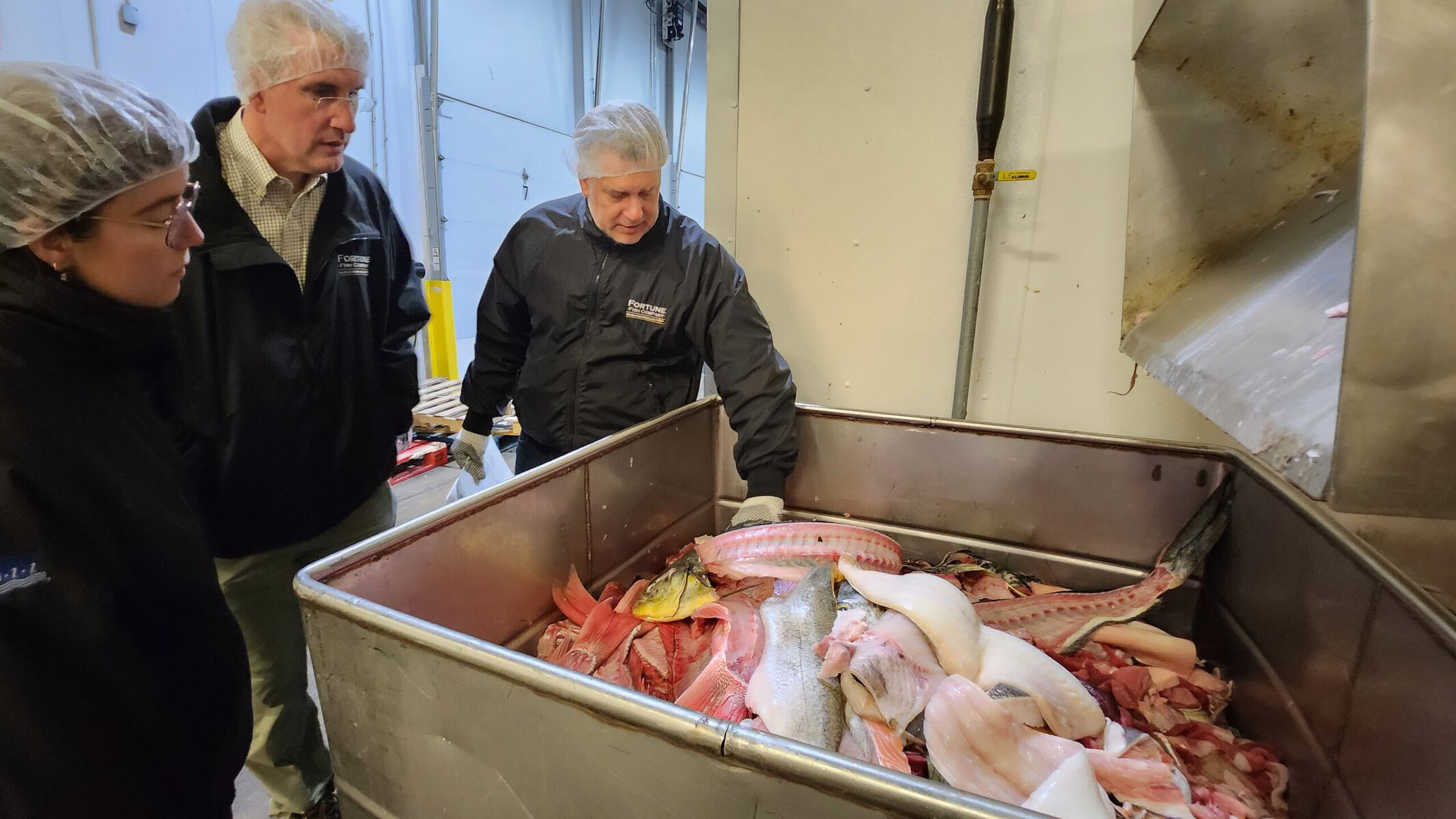 People wearing hairnets look into a metal container full of fish parts.