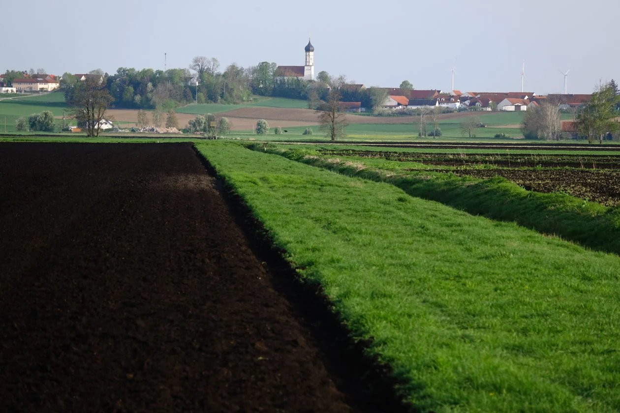 Crops grow on drained peatland in the Donaumoos region of southern Germany.