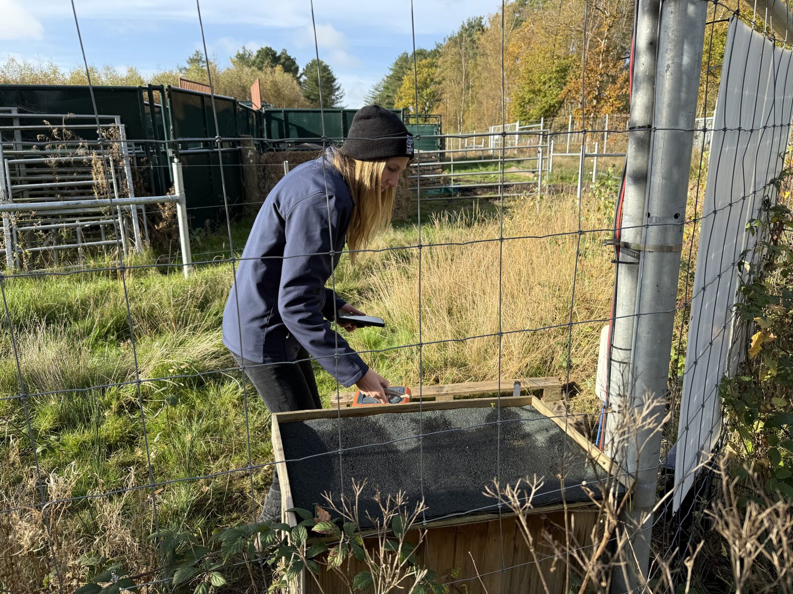 Cristina Juan reaches into a wooden bin in a field.