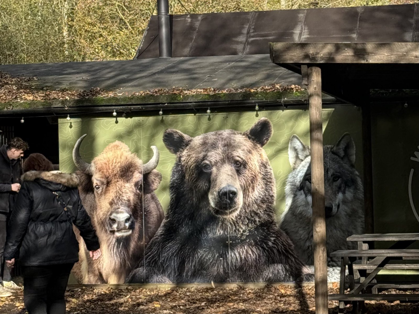 A mural shows a bison and a bear.