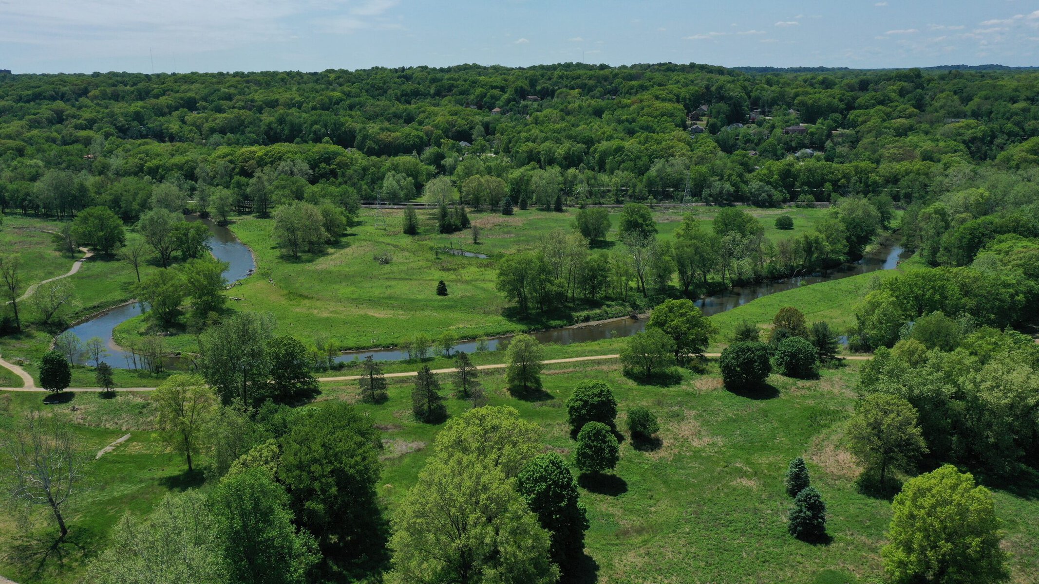 Valley View Golf Course after rewilding.