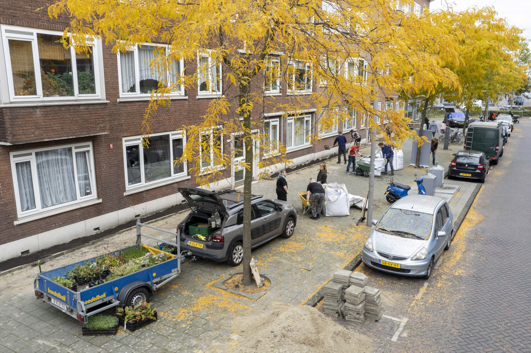 On a street lined with yellow-leaved trees, several people unload soil from wheelbarrows.