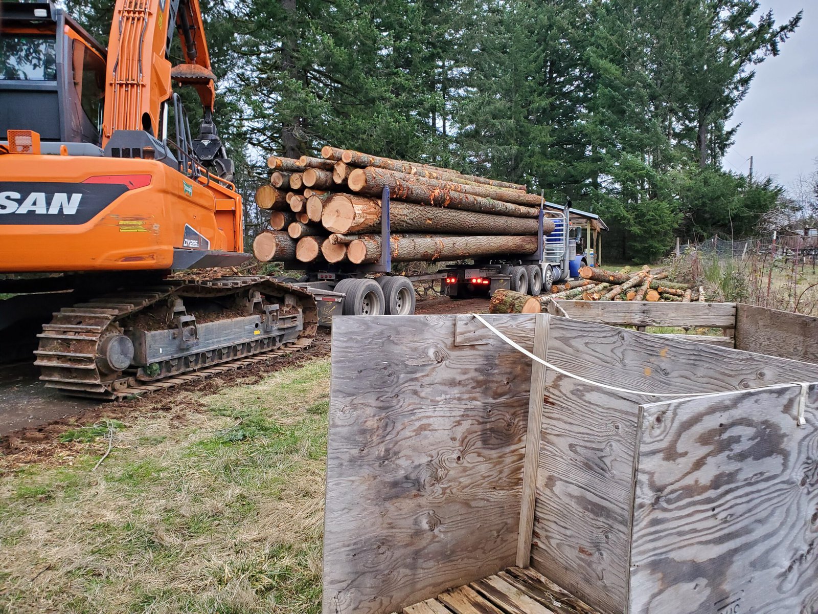 Logs loaded onto the back of a tractor.