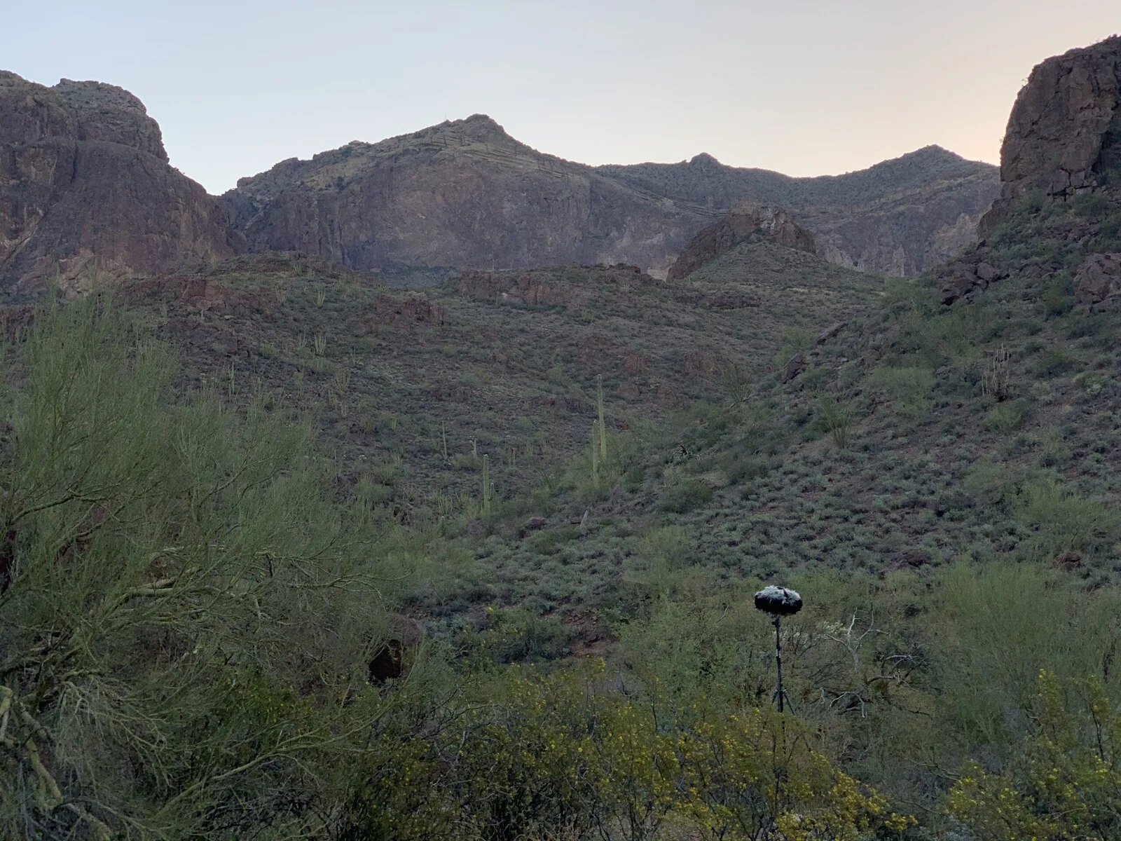 QPI recording in progress in Alamo Canyon at Organ Pipe Cactus National Monument in Arizona. There are green plants in the foreground and a recording device. There are reddish brown rock formations in the background.