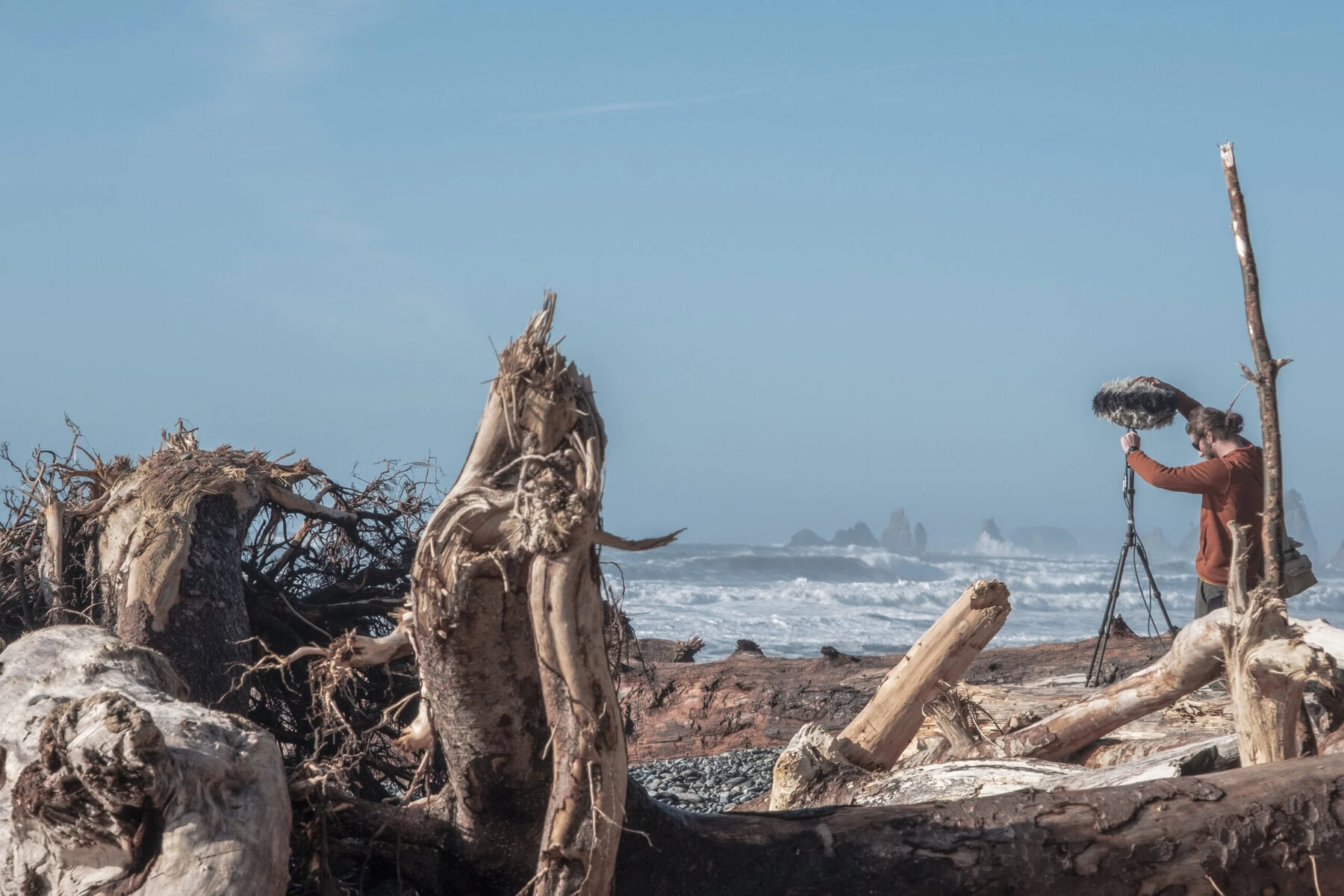 Quiet Parks International recording at Rialto Beach in Washington State's Olympic National Park. A man is setting up a recording device on a beach surrounded by driftwood.